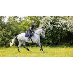 LeMieux Spring Work Pad 