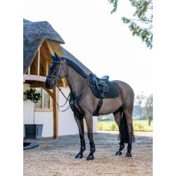 LeMieux Spring Work Pad 