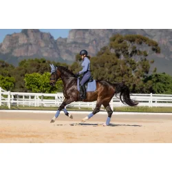 LeMieux Suede Dressage Square � Powder Blue
