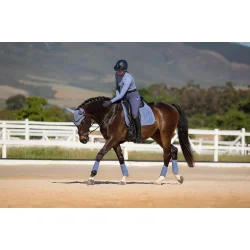 LeMieux Suede Dressage Square � Powder Blue
