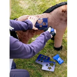 LeMieux Toy Pony Gracie