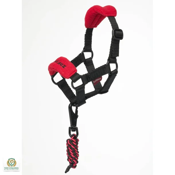 LeMieux Toy Pony Grime, Chili