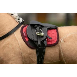 LeMieux Toy Pony Pad Cranberry