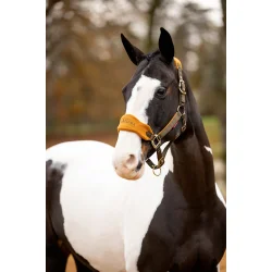 LeMieux Vogue Grime med Trktov, Alpine