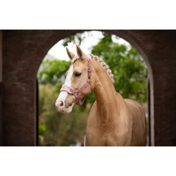 LeMieux Vogue Grime og Trktov, Blossom