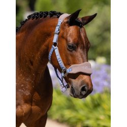 LeMieux Vogue Grime med Trktov, Jay Blue