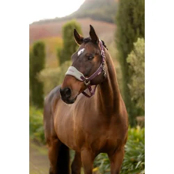 LeMieux Vogue Grime og trktov, Damson 