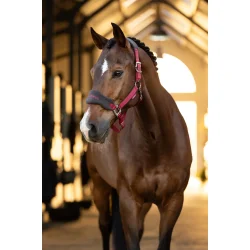 LeMieux Vogue grime, Ember