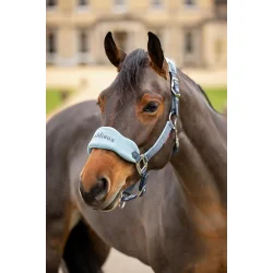 LeMieux Vogue grime, Petrol