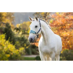 LeMieux Vogue grime, Petrol