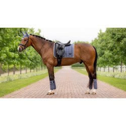 Loire Classic Dressage Square