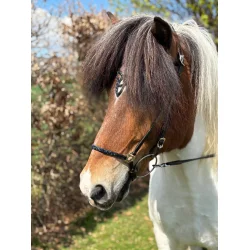 HestaGallery Lukka nakkerem med pandebnd