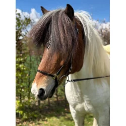 HestaGallery Lukka nakkerem med pandebnd