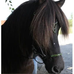 HestaGallery Lukka nakkerem med pandebnd