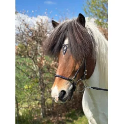 HestaGallery Lukka nakkerem med pandebnd