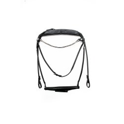 Finesse Spirit/  hannoveransk nsebnd 