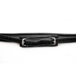 Finesse Spirit/  hannoveransk nsebnd 