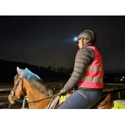 Meolinq Light Plus