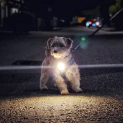 Meolinq Light Plus