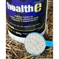 NAF HealthE 
