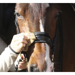 Nathalie Leather Conditioner 250ml