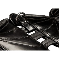 Scharf Freedom gjord dressur