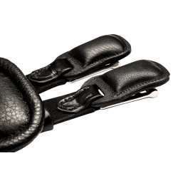 Scharf Freedom gjord dressur