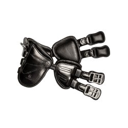 Scharf Freedom gjord dressur