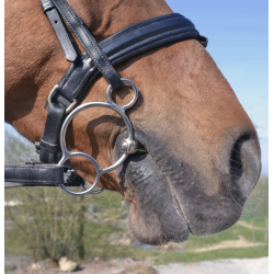 HS Dynamis RS Universal