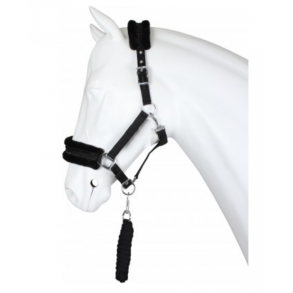 Horka grime og trktov, Angel