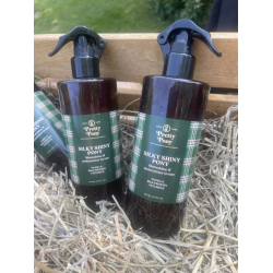 Pretty Pony – SILKY SHINY PONY