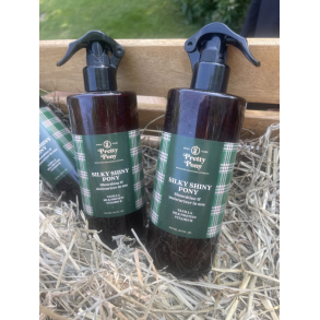 Pretty Pony – SILKY SHINY PONY