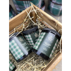 Pretty Pony – COOL MINT SORBET 2