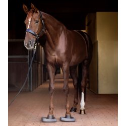 Waldhausen Health + Care Balance Pads