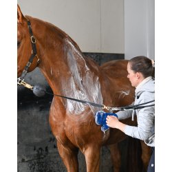 Laudrup &amp; Dufour Deep clean shampoo