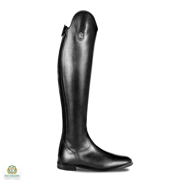 Cavallo Linus Dressage