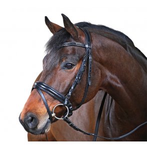 Cheval Sensi trense m/Aachner