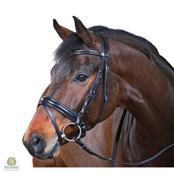 Cheval Sensi trense m/Aachner