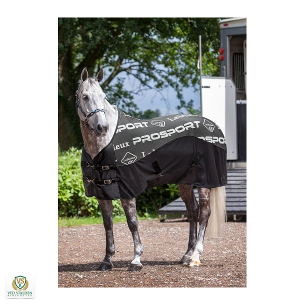 LeMieux Carbon Cooler Rug