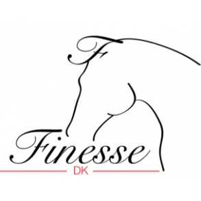 Finesse ldertjler til stang