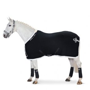 Eskadron Sveddkken Loden