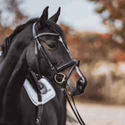 HS Dynamic RS Eggbutt 2-delt 16mm Sensogan