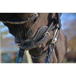 Stbben Freedom trense med sten