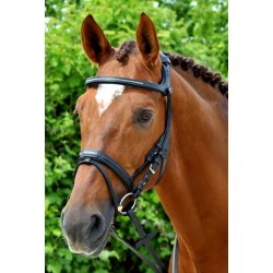 Stbben Freedom trense med sten